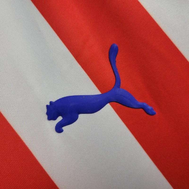 Retro 16/17 Chivas Guadalajara 110-Years Anniversary Home Jersey