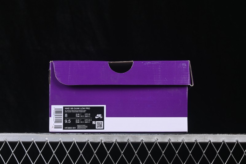 Nike SB Dunk Low Skateboarding Shoes - HF3063-001